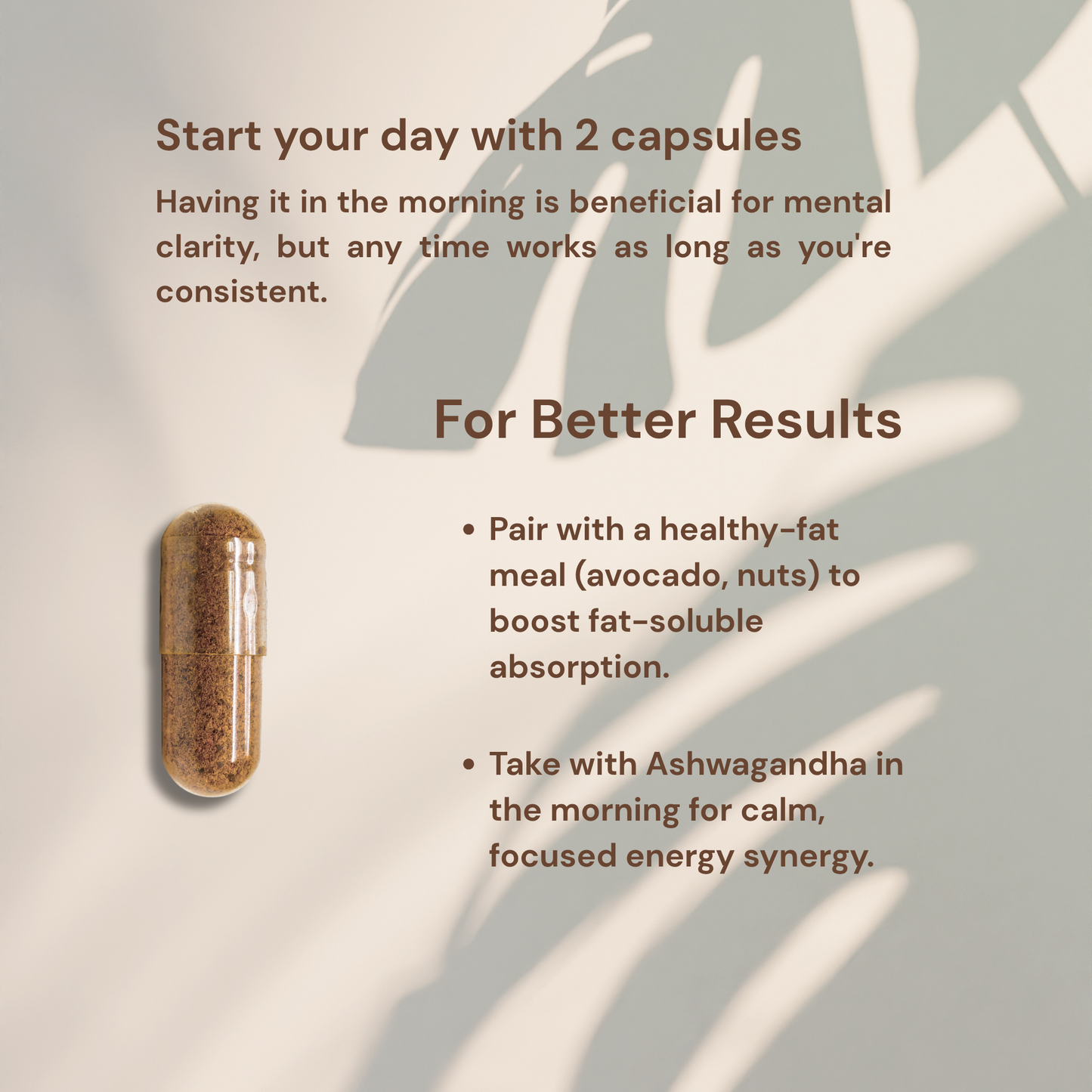 Lion's Mane Mushroom | Brain Health - Immune & Nervous System Support | 60 Caps