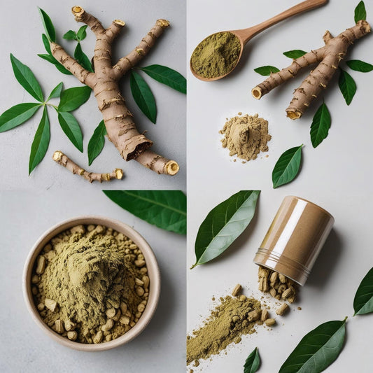 USDA Organic Ashwagandha Root Powder (100g)|Jaivik Bharat Certified | Natural | Helps Fight Anxiety & Stress