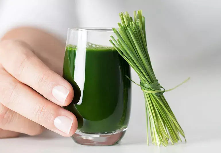 Wheatgrass Powder | Detox & Energy Superfood
