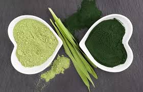 Spirulina vs Chlorella: Which One Is Better for Health?