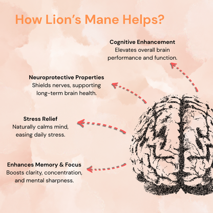 Lion's Mane Mushroom | Brain Health - Immune & Nervous System Support | 60 Caps