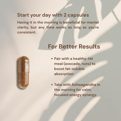 Lion's Mane Mushroom | Brain Health - Immune & Nervous System Support | 60 Caps