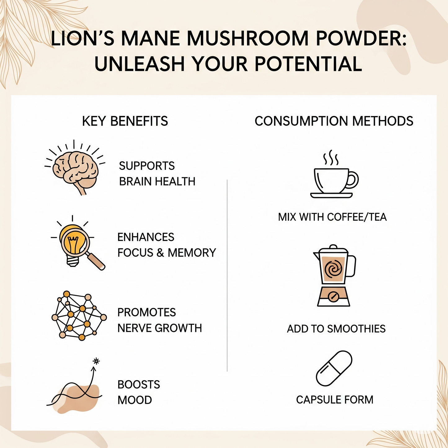 Lion’s Mane Mushroom Powder | Cognitive Clarity + Neuro-Support