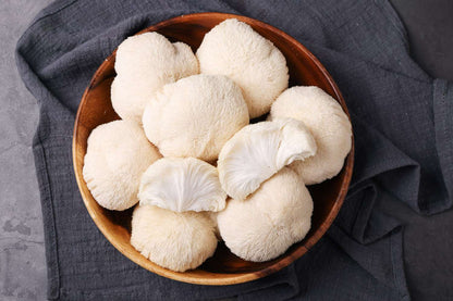 Lion’s Mane Mushroom Powder | Cognitive Clarity + Neuro-Support