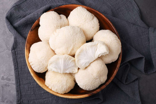 Lion’s Mane Mushroom Powder | Cognitive Clarity + Neuro-Support